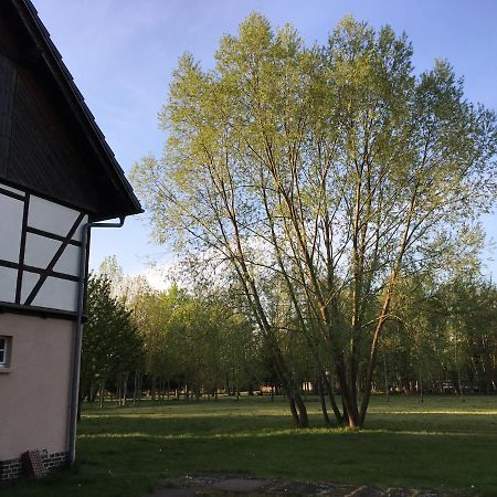 Spreewaldhaus Melcher Burg  Bagian luar foto